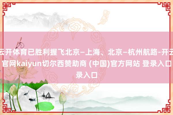 云开体育已胜利握飞北京—上海、北京—杭州航路-开云官网kaiyun切尔西赞助商 (中国)官方网站 登录入口